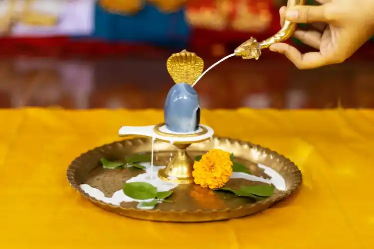 रुद्राभिषेक पूजन